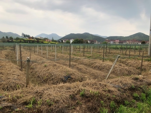 �~��۽����ۅ^(q��)�F·���þ��漰λ�ژ��(y��ng)�h�X(qi��n)��(zh��n)�Ĺ��V�������o���O(sh��)ʩ�a(b��)���r(ji��)���u(p��ng)��