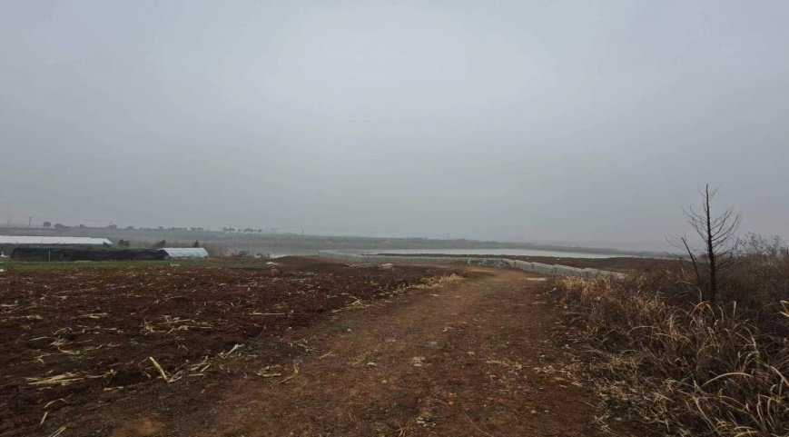 �Ϸ��u(y��)�N�@�ֹ������޹�˾���O(sh��)��λ�ںϷ��з����h��ͤ�(zh��n)�S���ٵ���@��(n��i)���깤���Ј��r(ji��)ֵ�u��